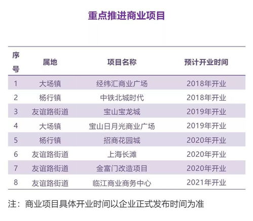 寶山這樣描繪發(fā)展藍(lán)圖 制造業(yè) 公共服務(wù) 文化產(chǎn)品 商業(yè)項目...全方位解析
